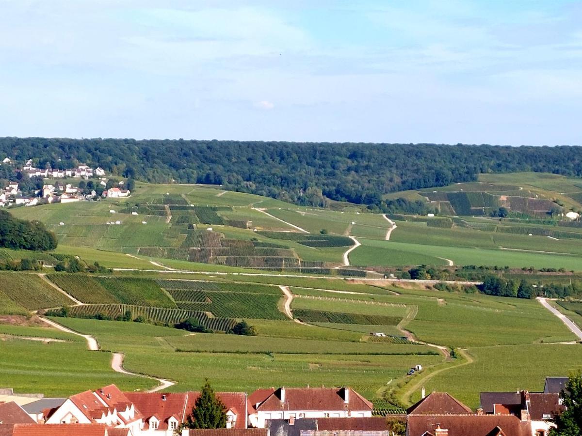 Epernay Capital De Champagne Exterior photo